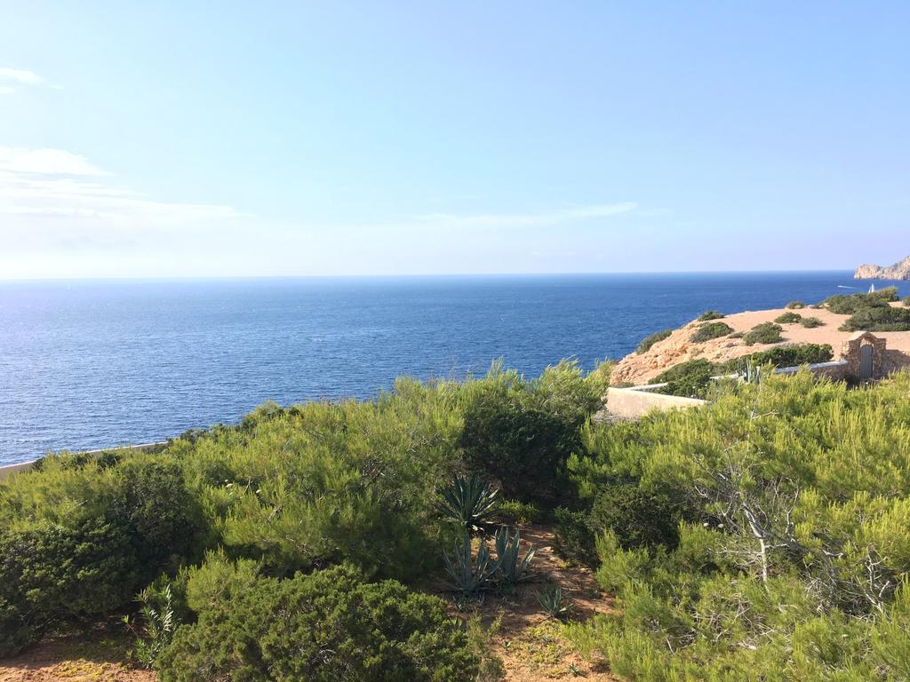 Carpe Diem * San Antonio (Ibiza)